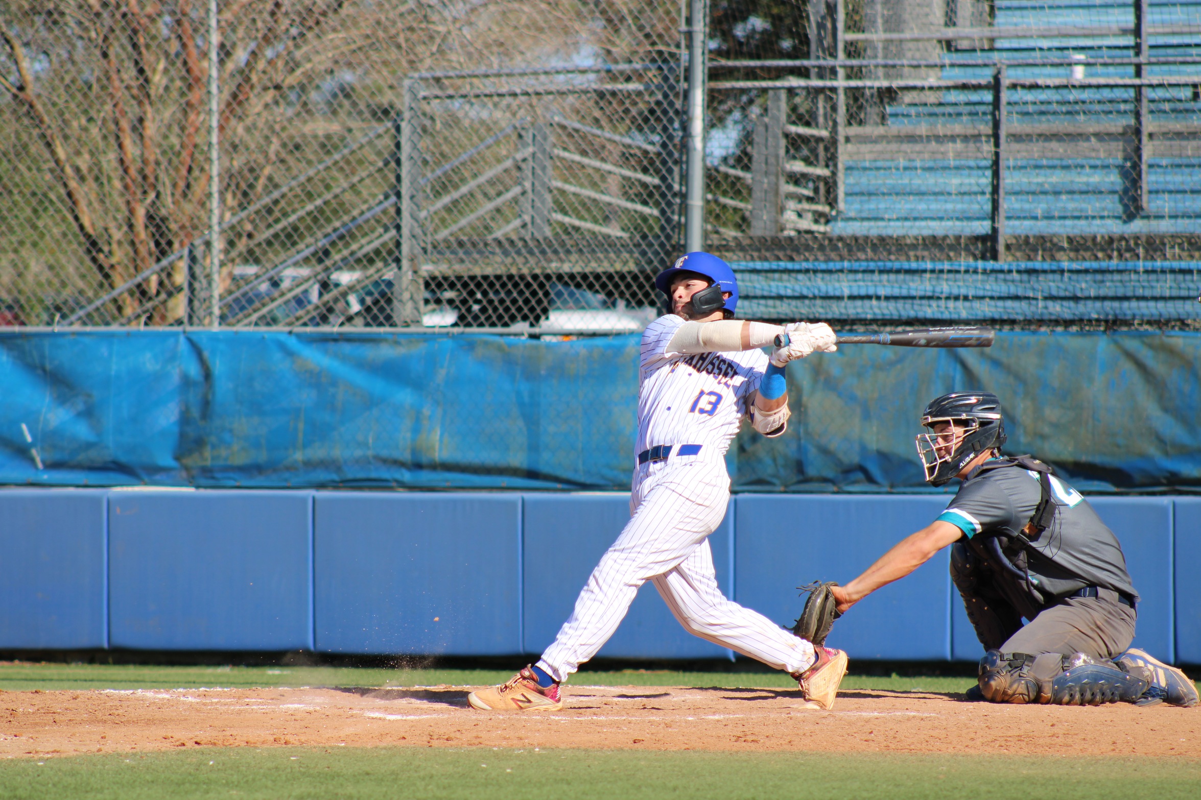 Bats come alive in win over FSC Jacksonville